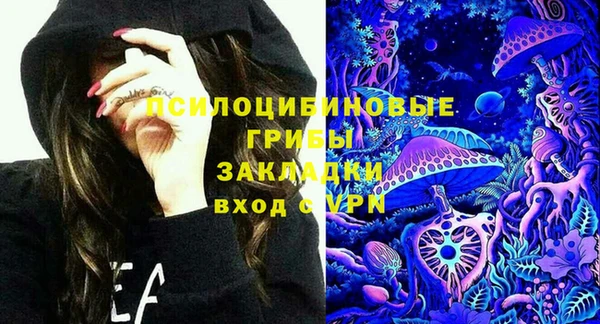 а пвп мука Гусев
