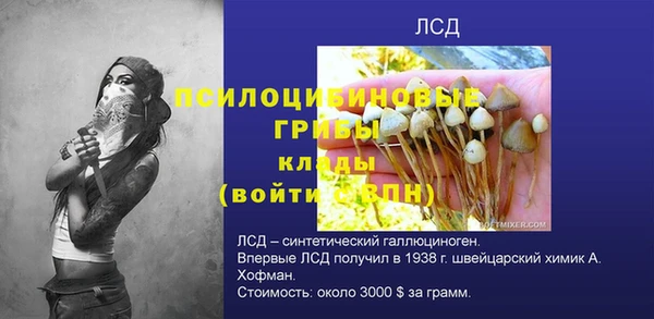 а пвп мука Гусев