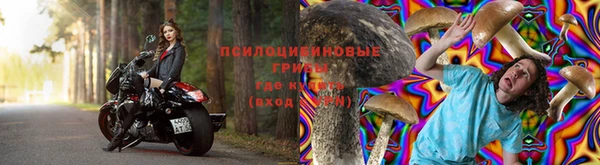 а пвп мука Гусев
